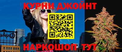 МДПВ Гатчина