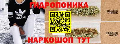 МДПВ Гатчина