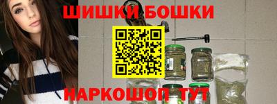МДПВ Гатчина