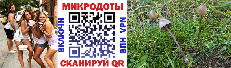 Галлюциногенные грибы MAGIC MUSHROOMS Каменск-Уральский