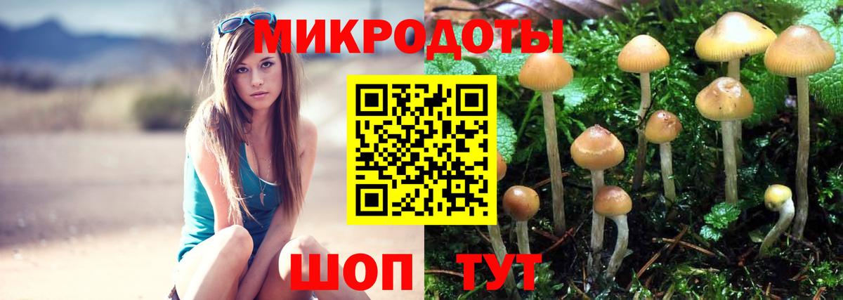 Каменск-Уральский  Галлюциногенные грибы Psilocybine cubensis  Вход с VPN 