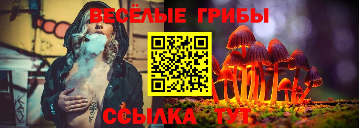 Псилоцибиновые грибы Cubensis Каменск-Уральский